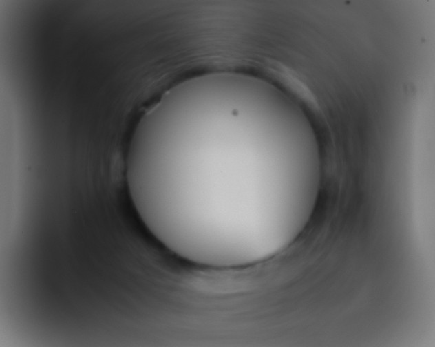 X0000092070025200710031126