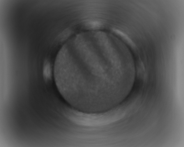 X0000092070026200710031126