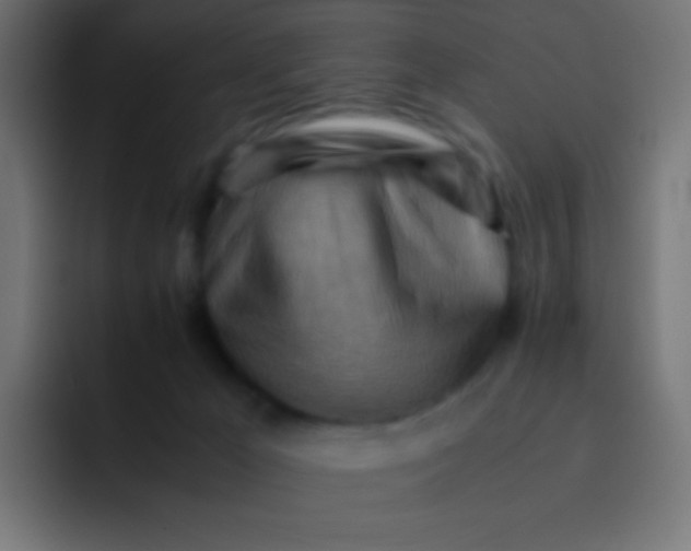 X0000092070029200710031126