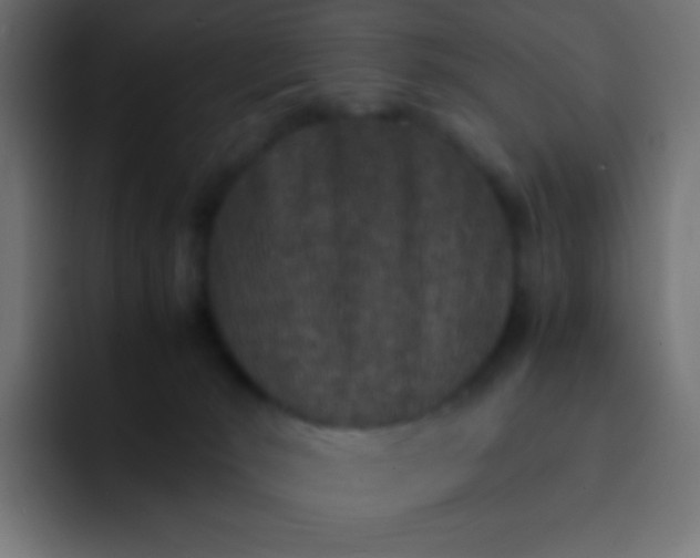 X0000092070030200710031126