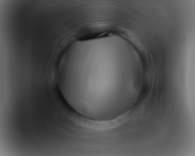 X0000092070031200710031126