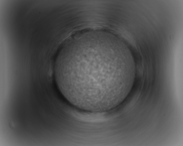 X0000092070032200710031126