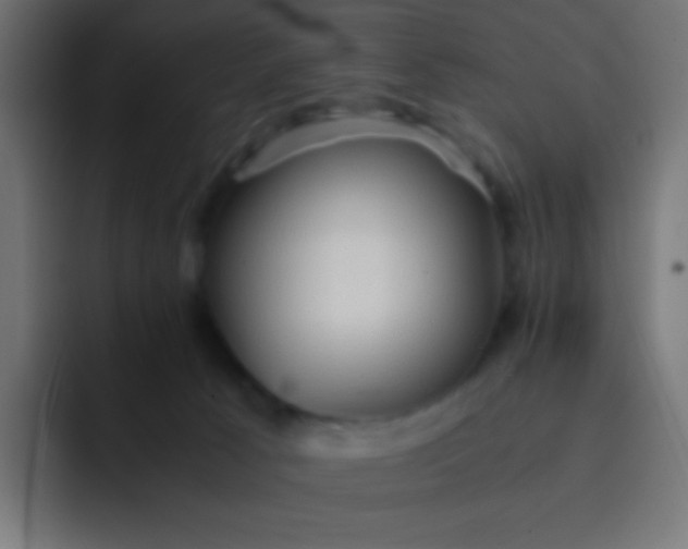 X0000092070033200710031126