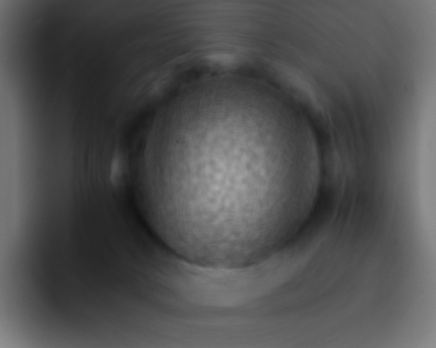 X0000092070034200710031126