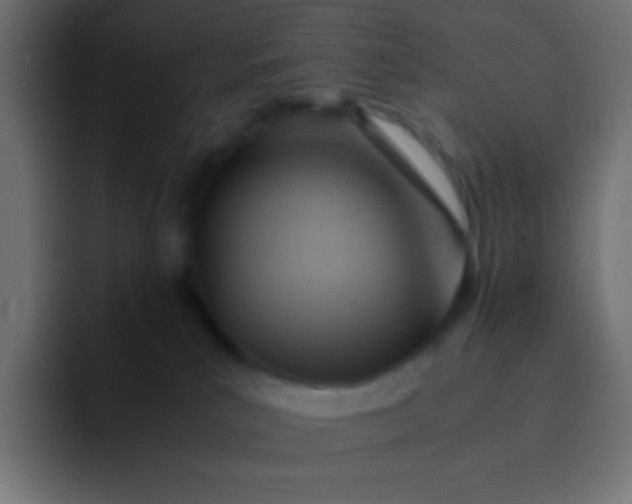 X0000092070039200710031126