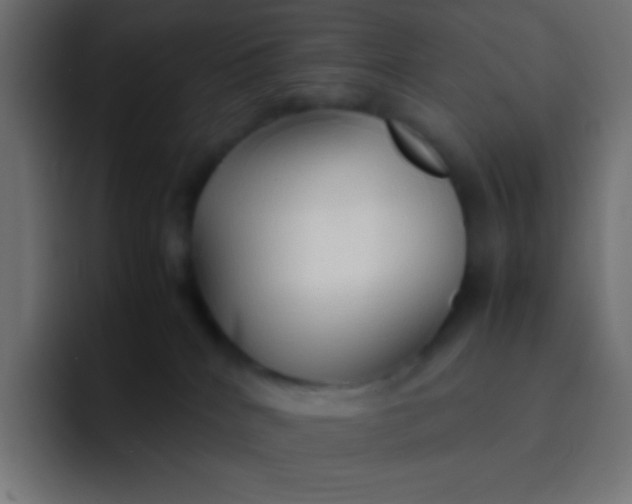 X0000092070040200710031126