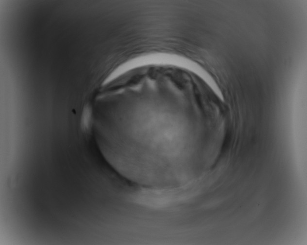 X0000092070041200710031126