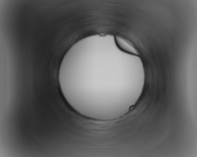 X0000092070044200710031126