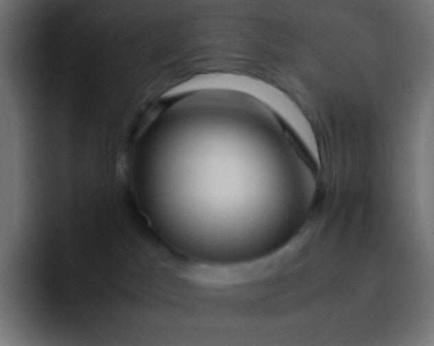 X0000092070045200710031126