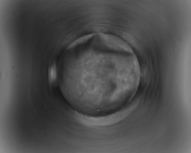 X0000092070046200710031126