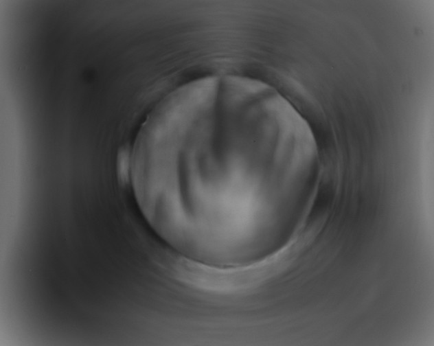 X0000092070047200710031126
