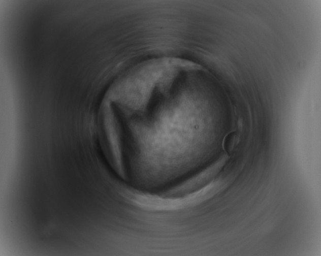 X0000092070048200710031126
