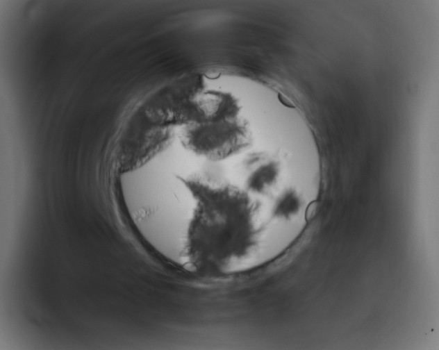 X0000092070049200710031126