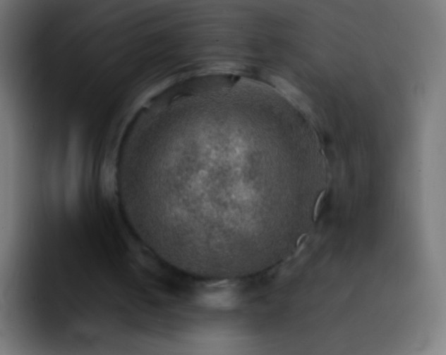 X0000092070050200710031126