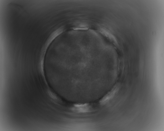 X0000092070051200710031126