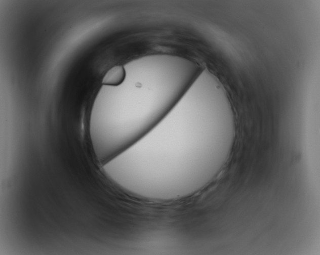 X0000092070052200710031126