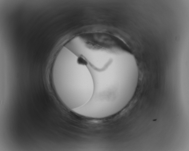 X0000092070053200710031126