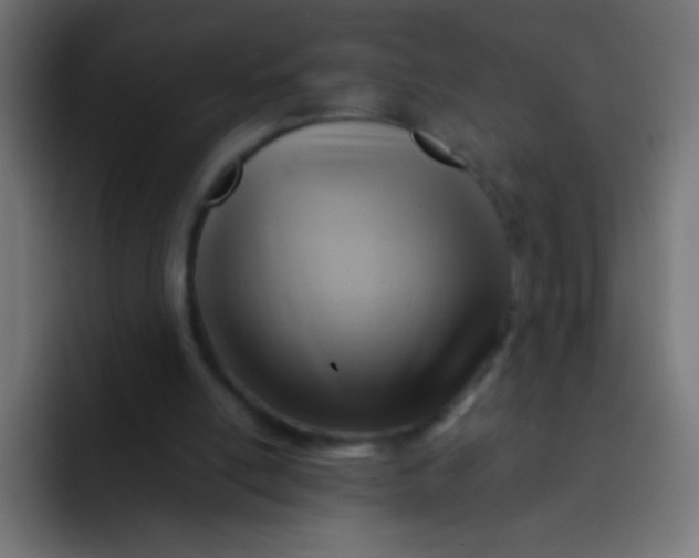 X0000092070054200710031126