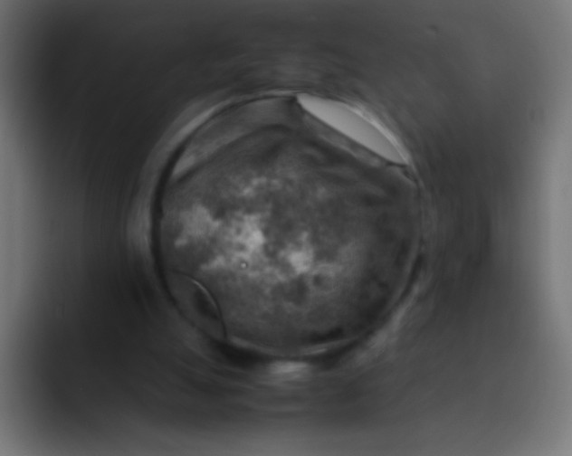 X0000092070055200710031126