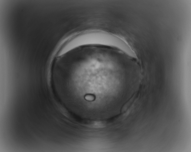 X0000092070056200710031126