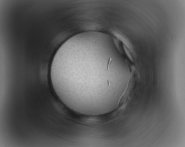 X0000092070058200710031126