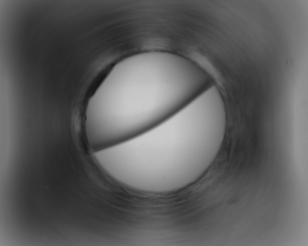 X0000092070060200710031126