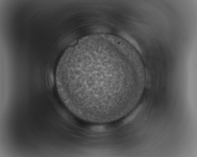 X0000092070061200710031126