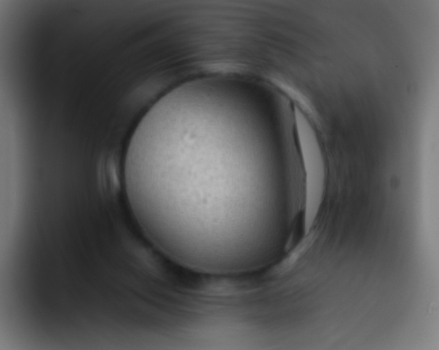 X0000092070062200710031126