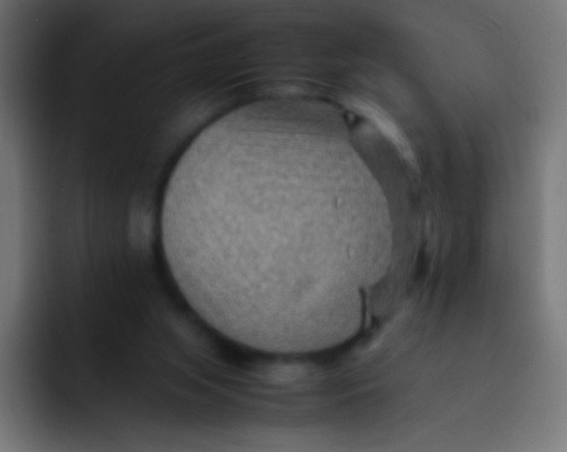 X0000092070063200710031126