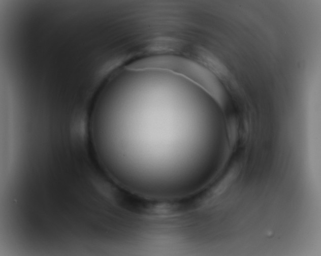 X0000092070064200710031126