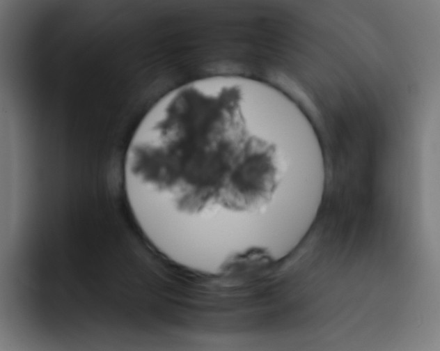 X0000092070065200710031126