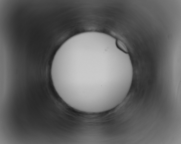 X0000092070066200710031126