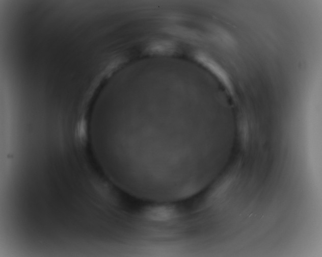 X0000092070067200710031126