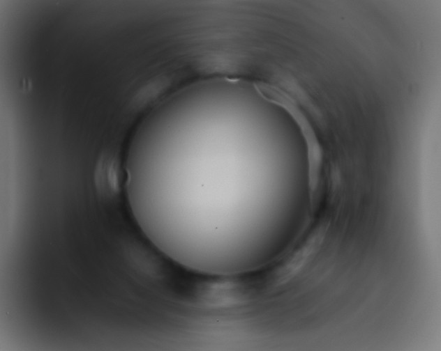 X0000092070068200710031126