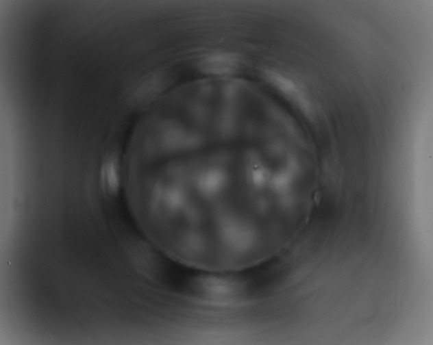X0000092070069200710031126