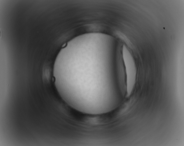 X0000092070071200710031126