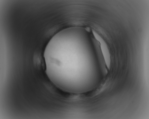 X0000092070072200710031126