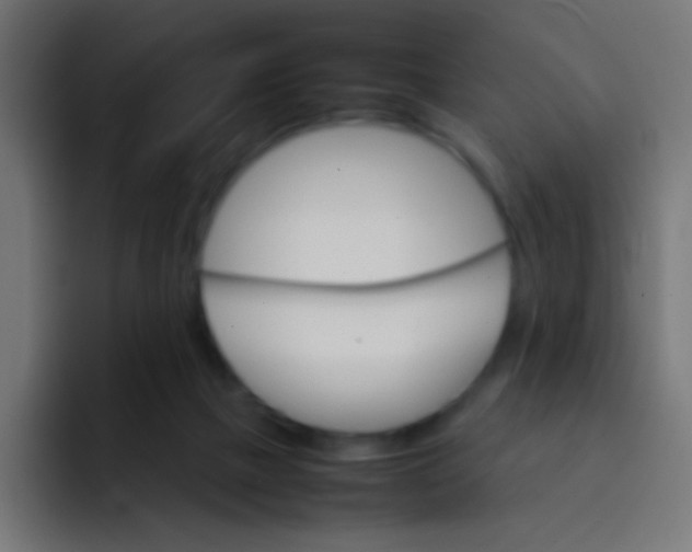 X0000092070073200710031126