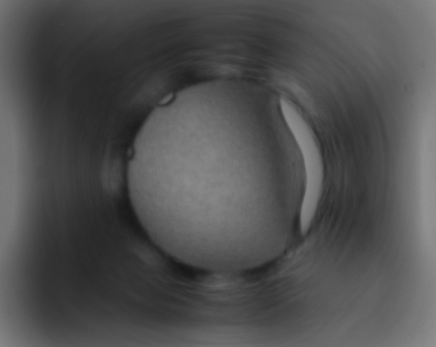 X0000092070077200710031126