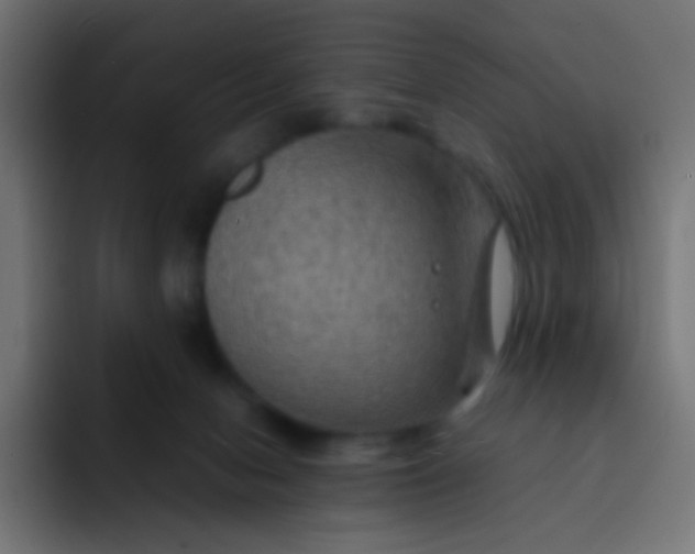 X0000092070078200710031126