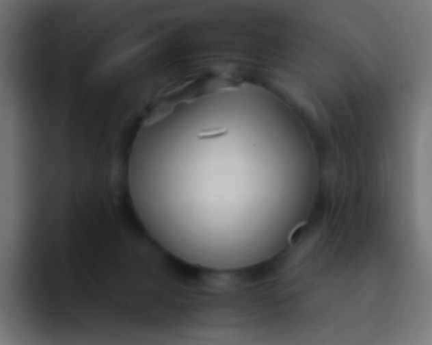 X0000092070079200710031126