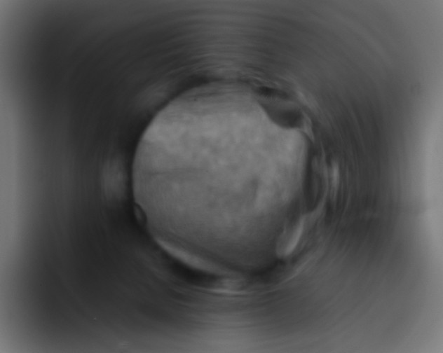 X0000092070080200710031126