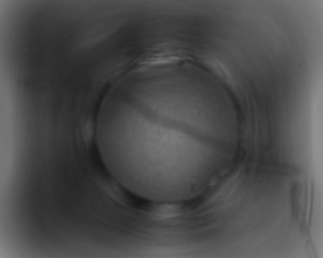 X0000092070081200710031126