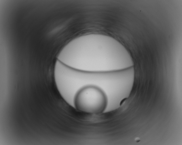 X0000092070082200710031126