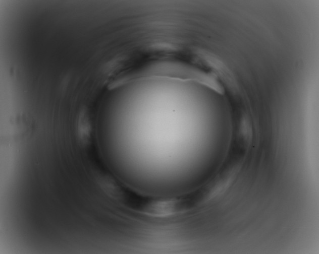 X0000092070084200710031126
