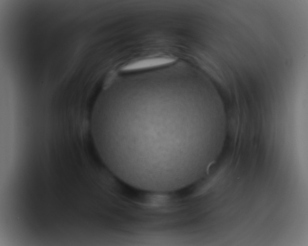 X0000092070085200710031126