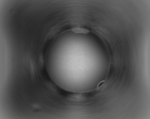 X0000092070086200710031126