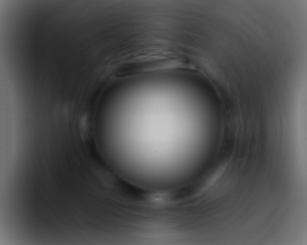 X0000092070088200710031126