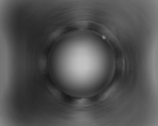 X0000092070092200710031126