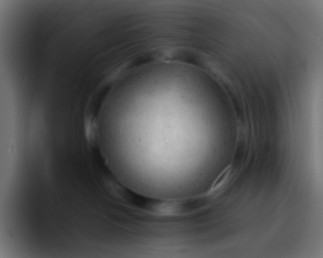 X0000092070094200710031126